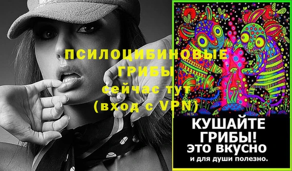 бошки Алексин