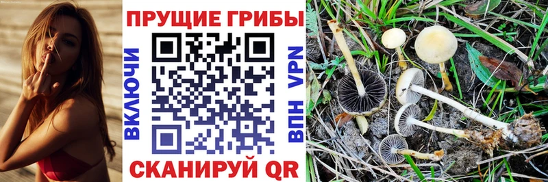 Псилоцибиновые грибы мухоморы  Купить  Мышкин 