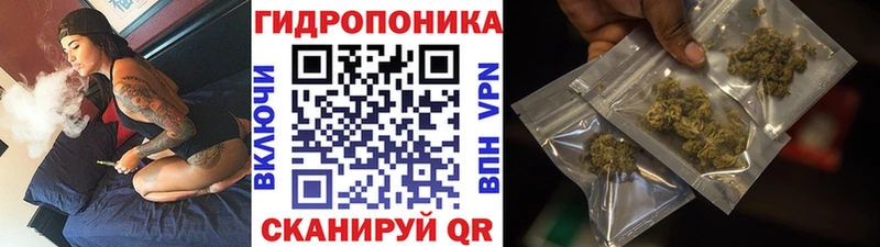 МАРИХУАНА гибрид Мышкин